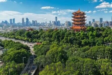 巴拿马足球比分网-巴拿马足球比分网,球迷的实时战况指南与深度分析平台