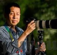 足球比分 球队身价排行-从绿茵场到财富榜,足球比分与球队身价排行的深度对话
