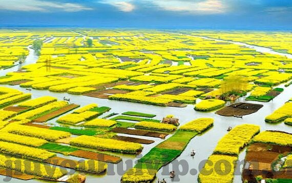 足球比分太低了-当足球比分低入尘埃,一场关于竞技美学与观赏性的深度对话